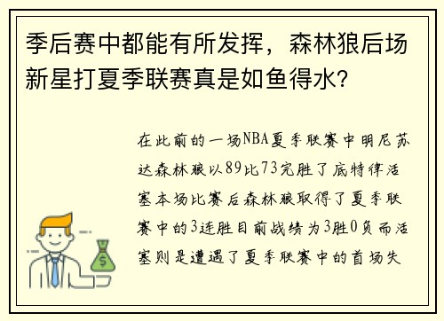 季后赛中都能有所发挥，森林狼后场新星打夏季联赛真是如鱼得水？